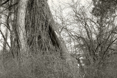 25103