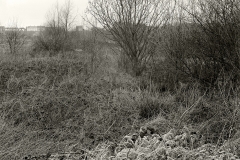 20008