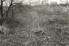 20102