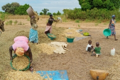 042_DxO-1-copie-scaled