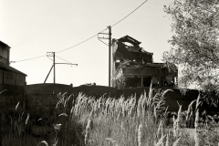 06902