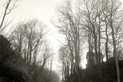 08008-scaled