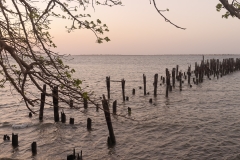 015_DxO-2-copie