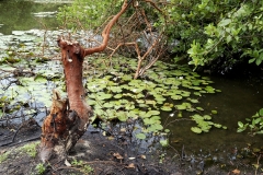 032_DxO-copie