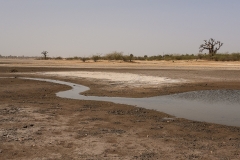 DSF0288-copie-2