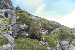 009_DxO-1-copie