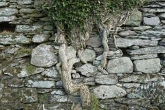 011_DxO-copie