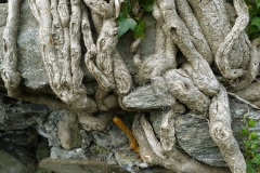 019_DxO-copie