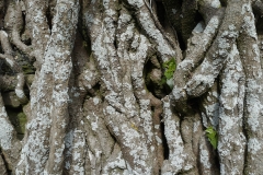 021_DxO-copie-1