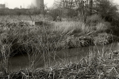 02907-copie