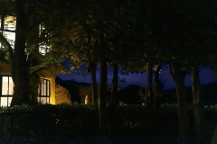 031_DxO-copie