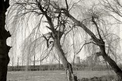 05007-copie