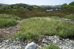 078-copie