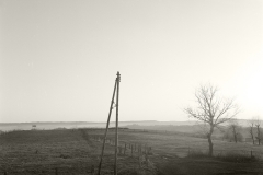 08107-copie