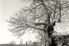 08109-1-copie