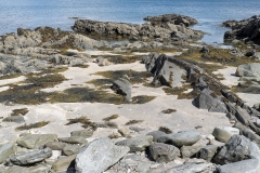 088_DxO-copie