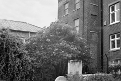 12410-copie