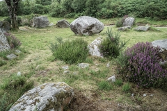 137-copie