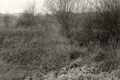 20008-copie