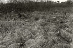 20009-copie