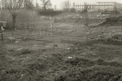 22702-copie